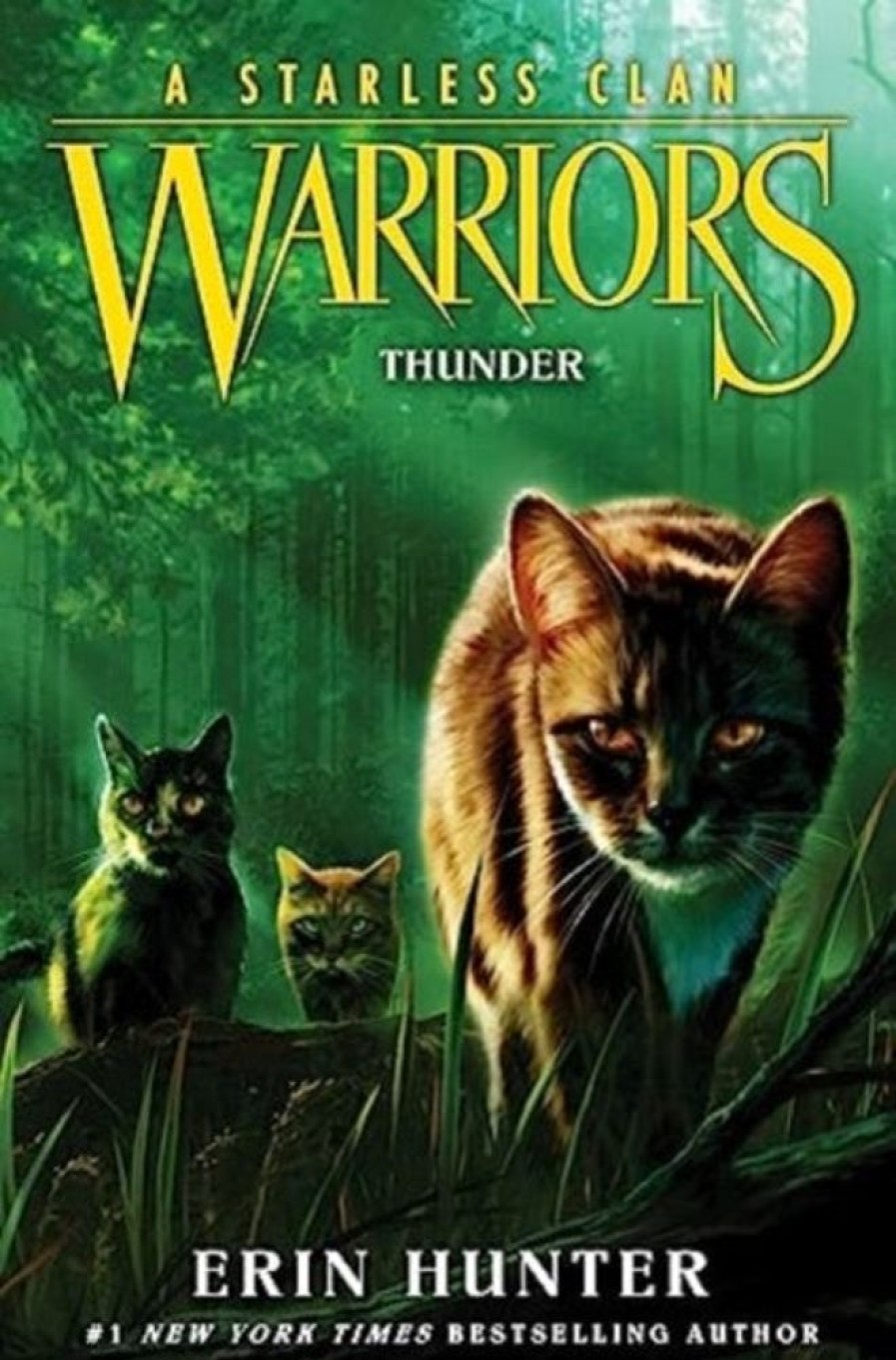 Lastenkirjat HarperCollins Publishers Inc | Warriors: A Starless Clan #4: Thunder