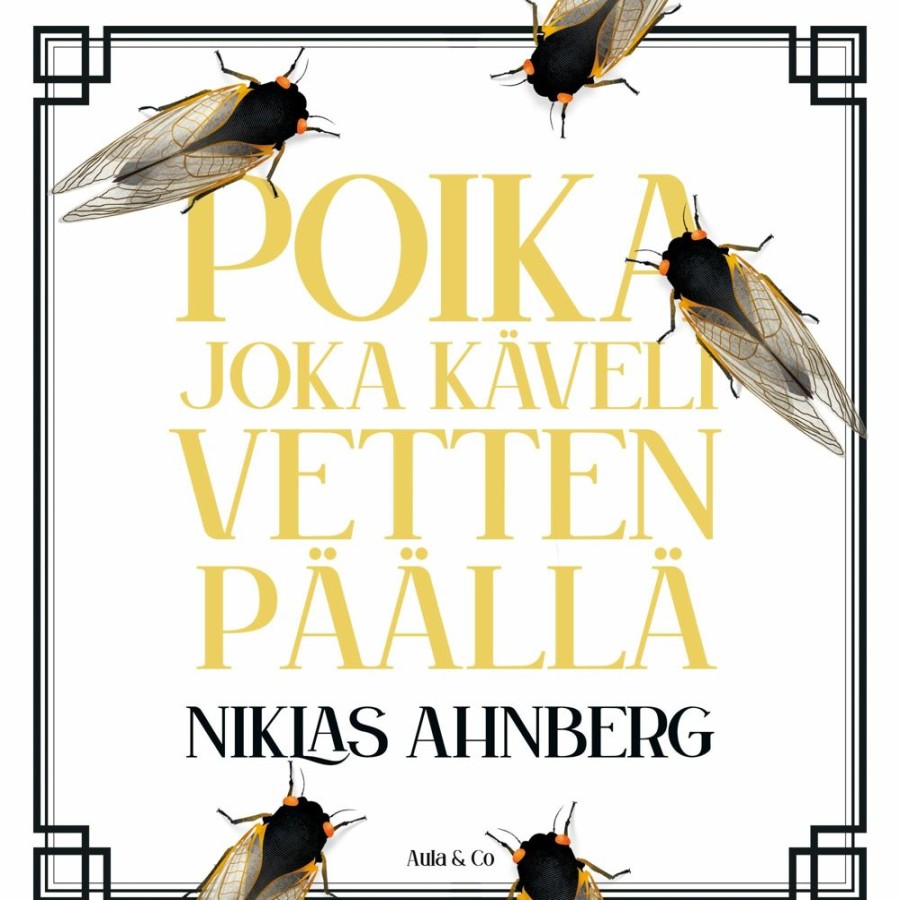 Nuortenkirjat Aula & Co | Poika Joka Kaveli Vetten Paalla