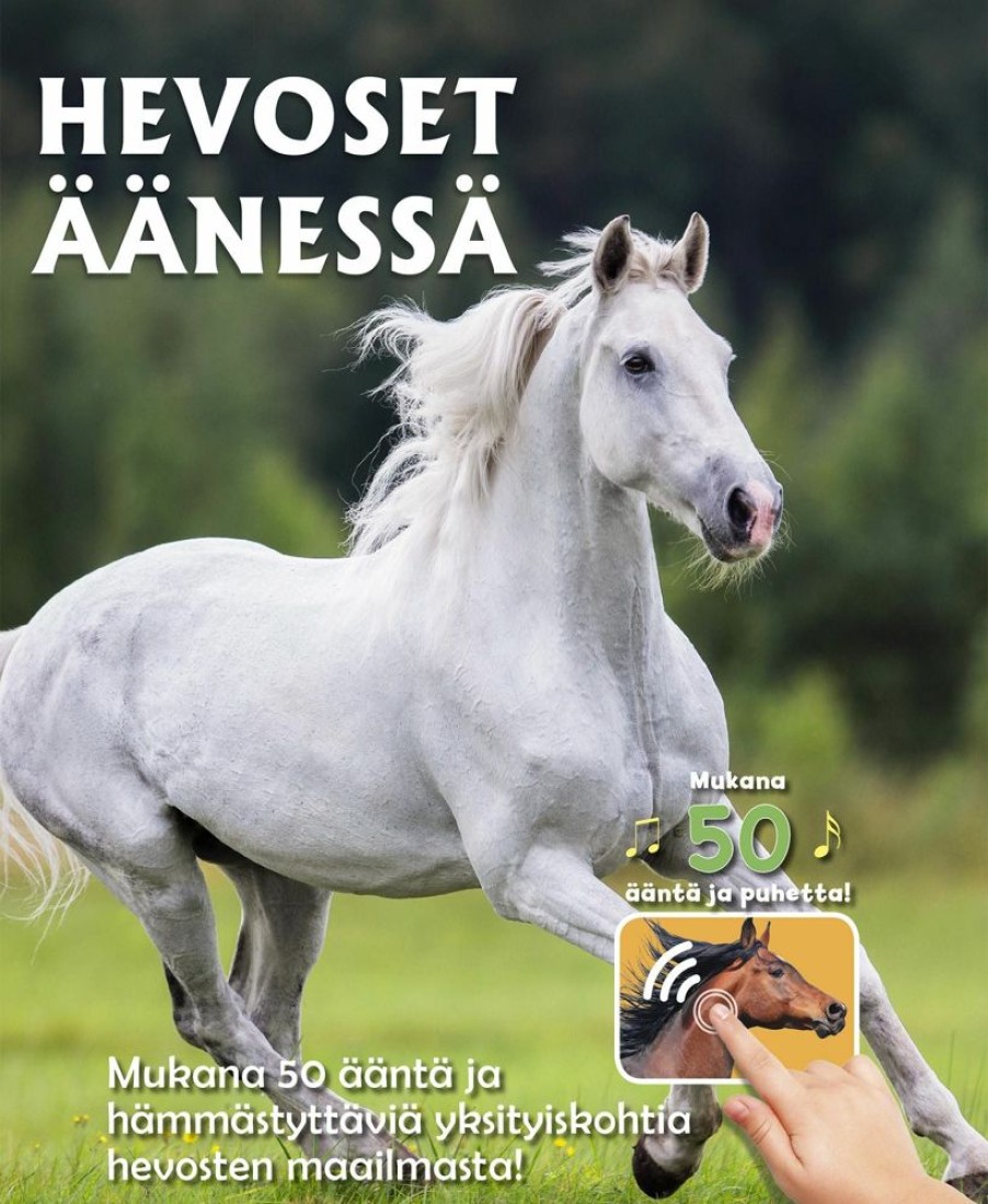 Puuha, Varitys Ja Askartelu Readme.fi | Hevoset Aanessa - 50 Aanta