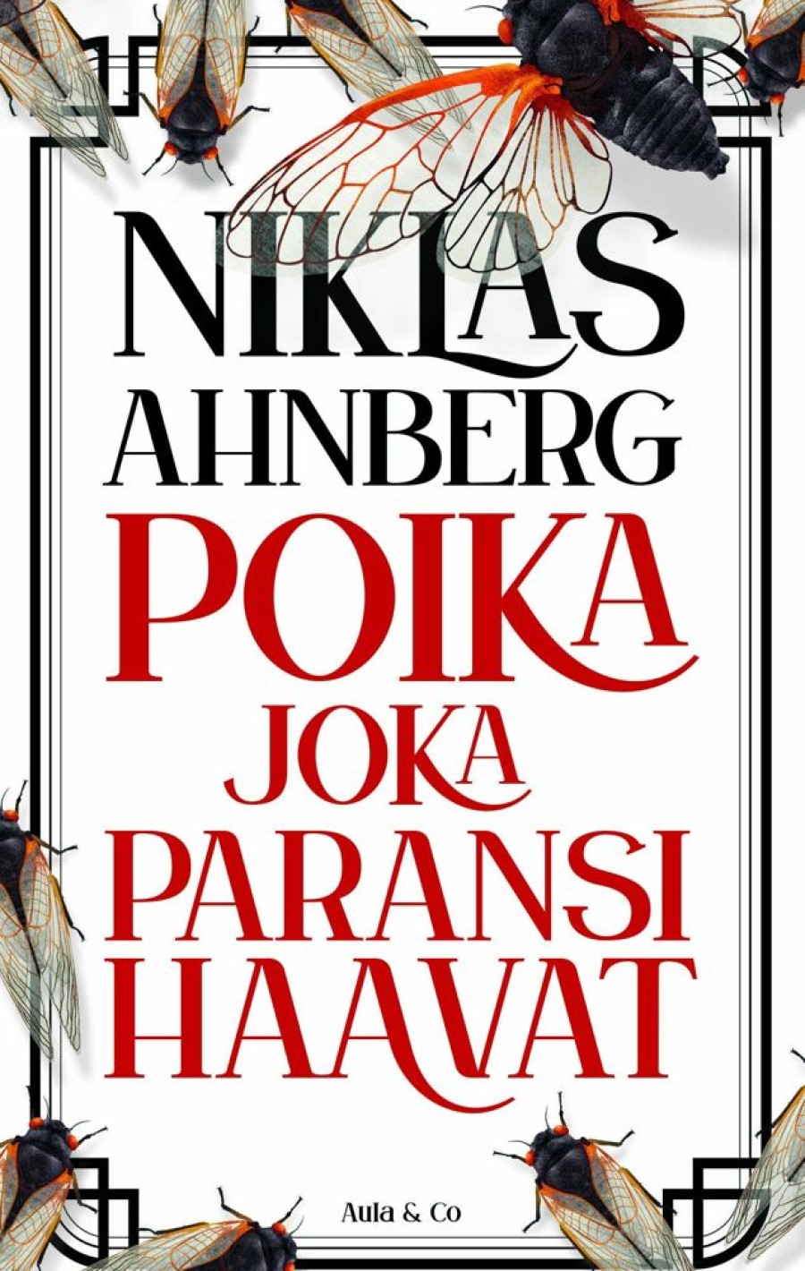 Nuortenkirjat Aula & Co | Poika Joka Paransi Haavat