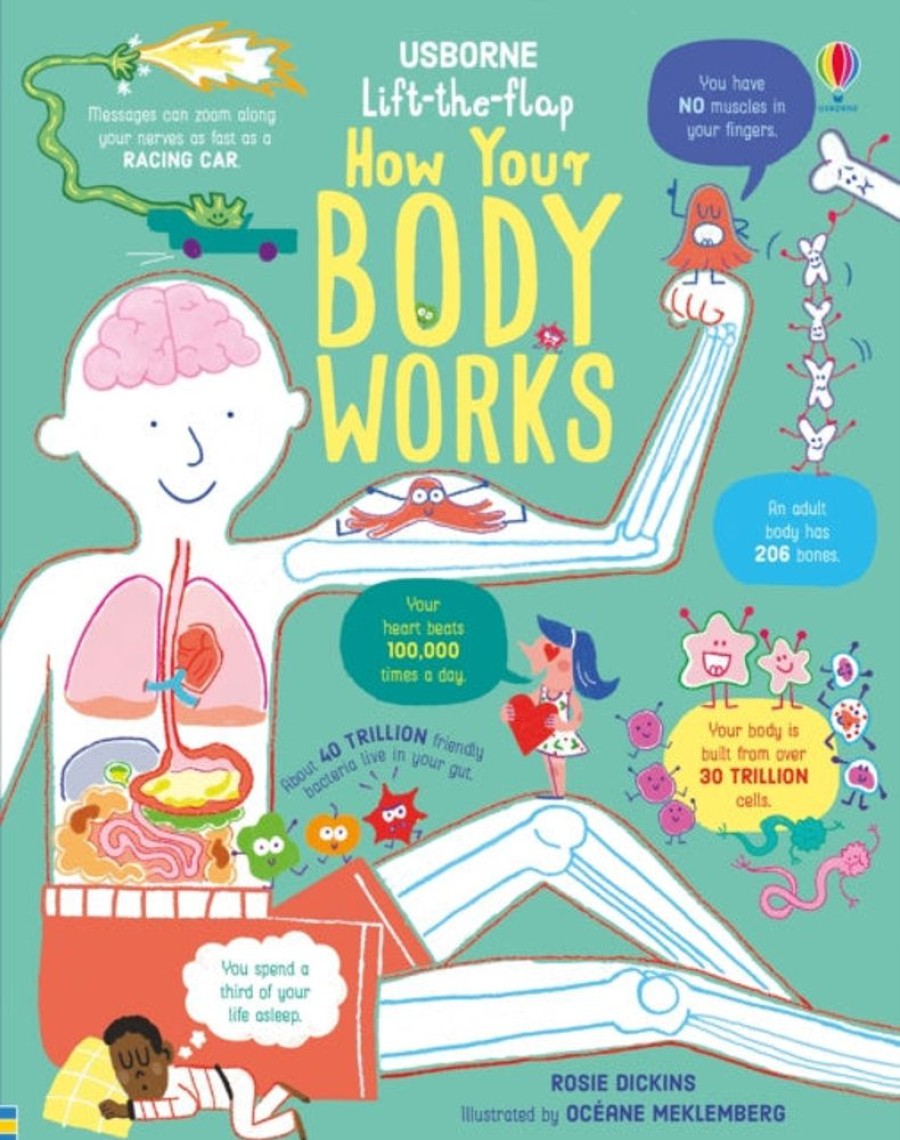 Puuha, Varitys Ja Askartelu Usborne Publishing Ltd | Lift The Flap How Your Body Works