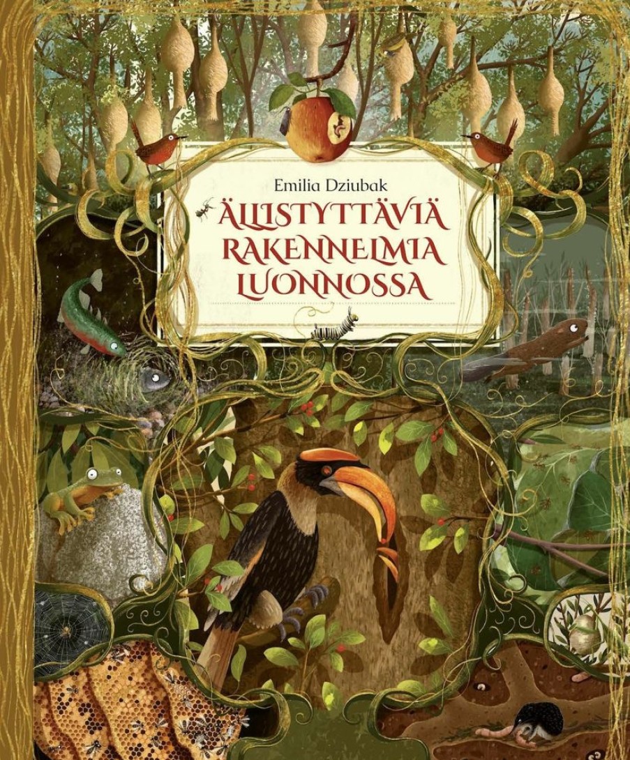 Lastenkirjat Aurinko Kustannus | Allistyttavia Rakennelmia Luonnossa