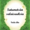 Lastenkirjat Valde Aho | Satumetsan Salaisuuksia