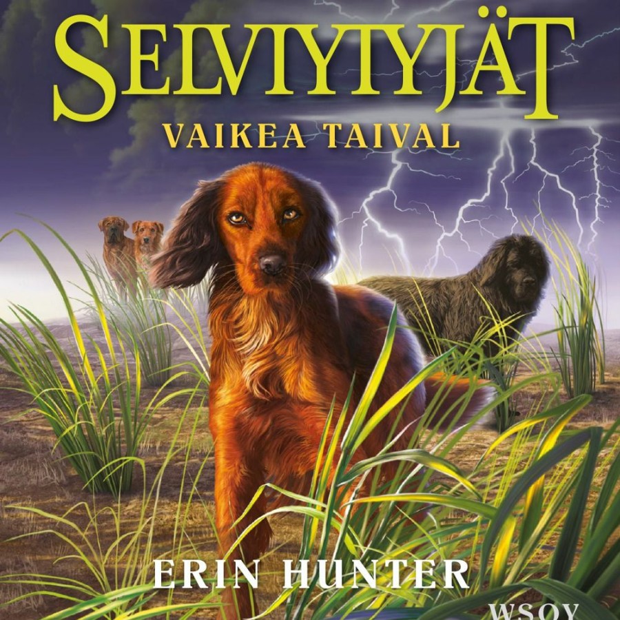 Nuortenkirjat WSOY | Selviytyjat: Vaikea Taival